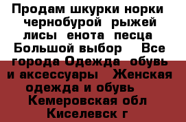 Продам шкурки норки, чернобурой, рыжей лисы, енота, песца. Большой выбор. - Все города Одежда, обувь и аксессуары » Женская одежда и обувь   . Кемеровская обл.,Киселевск г.